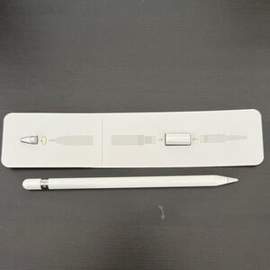 Apple Pencil (1st Gen)